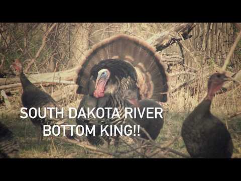 South Dakota River Bottom King!!