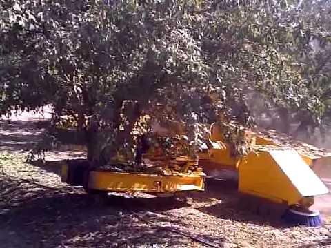 The "Shaker" - Machine that shakes almonds off a tree