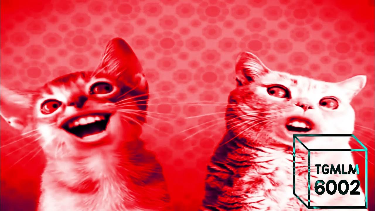 Preview 2 numa cat effects. Preview 2 numa cat effects (preview 2 effects) in m major (split version).