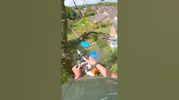 Little flick off the rigging line and good to go. #rigging #chainsaw #arborist #arbortec