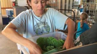 How We Pack Your Box: An Inside Peek of the CSA Assembly Line