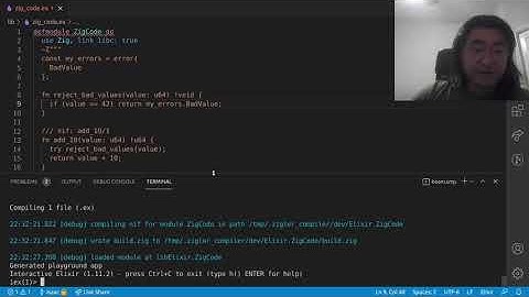 Showing off Zig Errors in Zigler