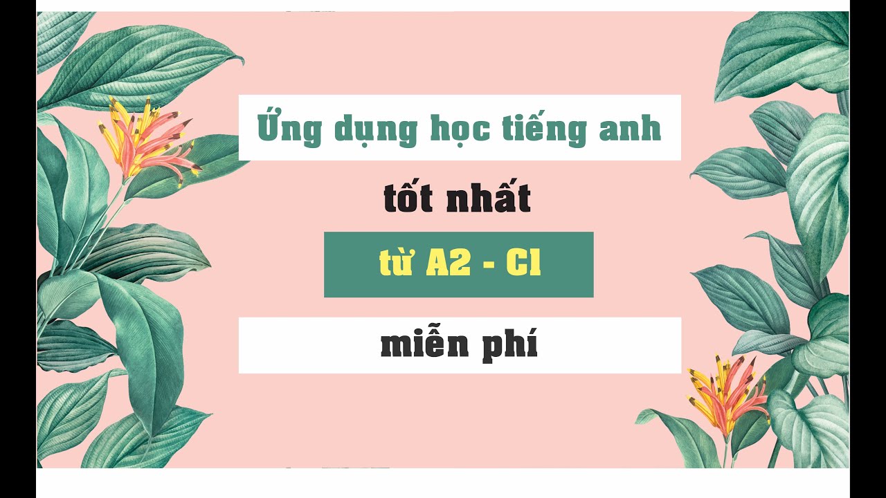 Phần mềm học từ mới tiếng anh | Học tiếng anh mùa corona: 2 ứng dụng học từ vựng tiếng anh tốt nhất (miễn phí)