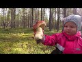 Грибы осенью/Семейная прогулка по грибы. /Тихая охота. Осенний лес 2021.