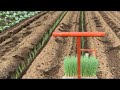 ネギを植えていくぞ