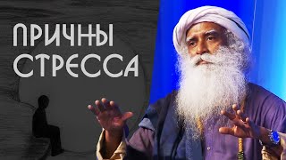 Как снять стресс? Научитесь управлять собой - Садхгуру на Русском