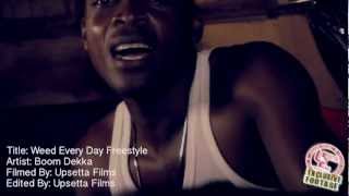 Boom Dekka- "Smoke Weed Every Day" Freestyle (Live in Kingston, JA)