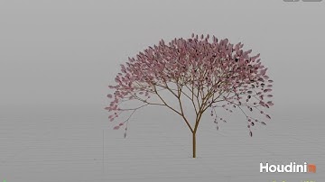 Houdini 2020 - Tree