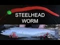 How to Rig A STEELHEAD Worm Nose Down