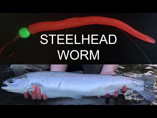 How to Rig A STEELHEAD Worm Nose Down 