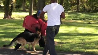 rape/abduction prevention...REAL PROTECTION!!!(prt1)a