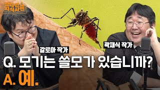 모기가 쓸모있는 유일한 순간..? | 곤충에서 영감을 얻은 기술들 (곽재식 작가, 갈로아 작가)