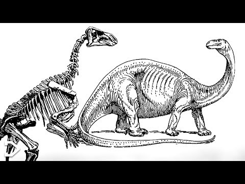 The Crazy Story Of The FIRST Dinosaur Discovery