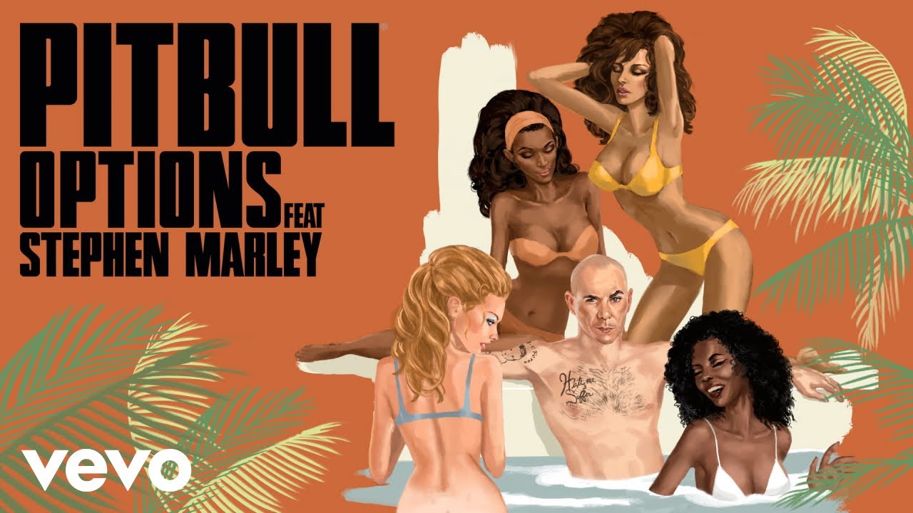 在 YouTube 上觀看「Pitbull - Options (SpydaTEK Remix) [Audio] ft. Stephen Marley」
