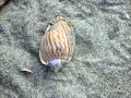 海に行こう