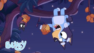Murciélago de la fruta 🦇 | Bluey Canal Oficial en Castellano