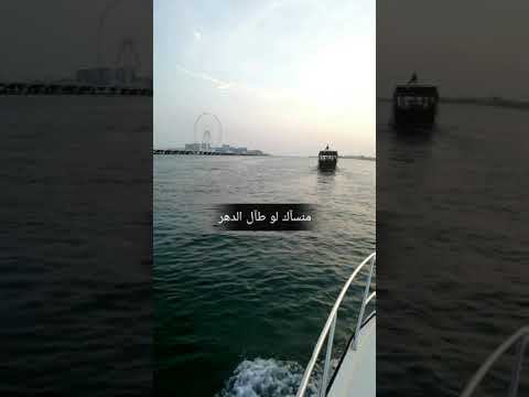 اصيل ابوبكر قدر قدر