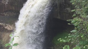 جزء عم | سورة المطففين | سعيد الخطيب