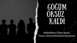 Göğüm Öksüz Kaldi 12.Bölüm İbretli̇k Bi̇r Hi̇kaye