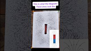 Magnetic field lines of a Bar Magnet #experiment #science