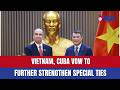 Vietnam, Cuba vow to further strengthen special ties