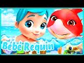 Bébé requin en français - Comptines pour bébé en francais - Viola Kids chanson LE Français [HD]