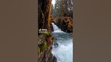 #اكسبلور #تيك_توك #nature #لايك #سورة_البقرة #آية#المسلمين #المدينة_المنورة #الحج #الجديد #العالم #