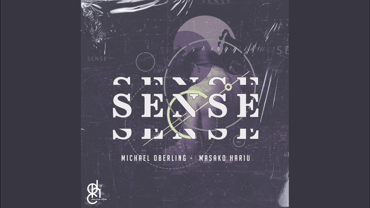 Sense (Pushguy Remix)
