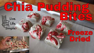 Freeze Dried Chia Pudding Bites -- Healthy Freeze Dried Snacks &amp; Desserts