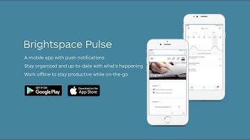 Stay Productive while on-the-go with the Brightspace Pulse App