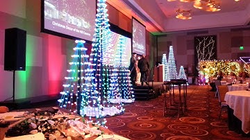 Minleon USA Tree of Lights