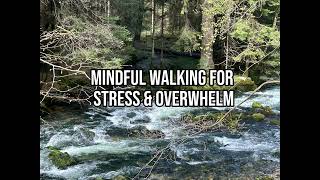 Mindful Walking for Stress &amp; Overwhelm