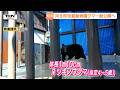 動物園にクマ!? 目的は「生態を知ってもらうこと」 児童動物園で始まるツキノワグマの一般公開 実際に近くで見てみると…(山形・河北町)