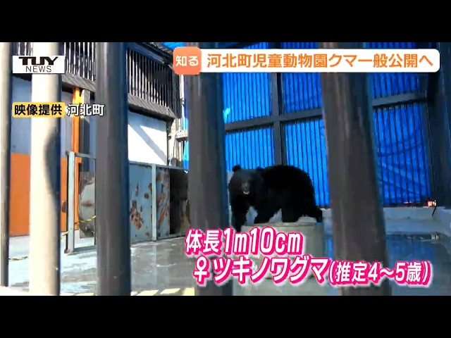 A Bear at the Zoo!? Aiming to Help People Understand Their Ecology