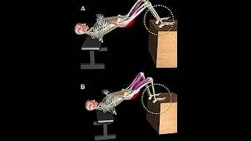 FEET RAISED HIP THRUST Variation 