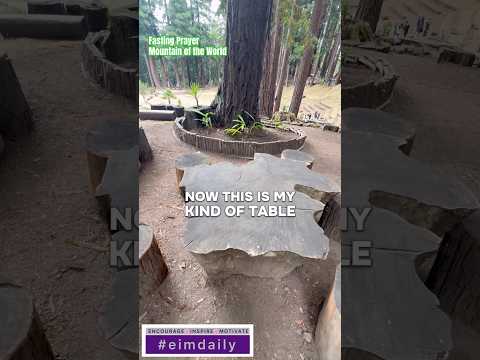 My Kind Of Table Eimtoolbox