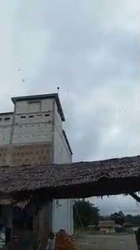 Virall,,,,, suara panggil walet Sp 18jta tembus 300ekor lbh dlm beberapa hari.