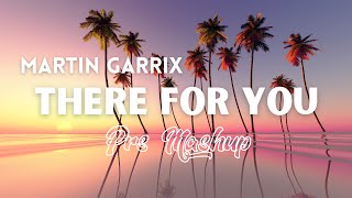 Martin Garrix & Troye Sivan - There For You (Prs Mashup)