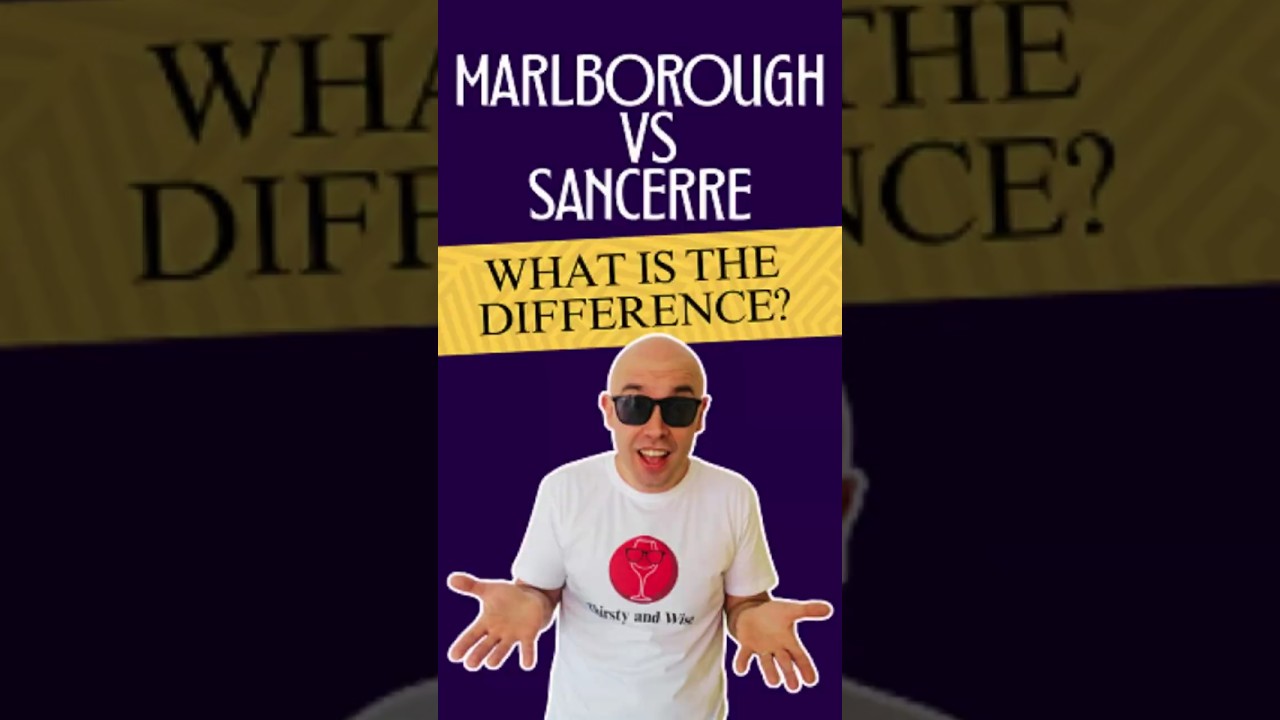Sancerre vs Marlborough Sauvignon Blanc | What is Your Style?  