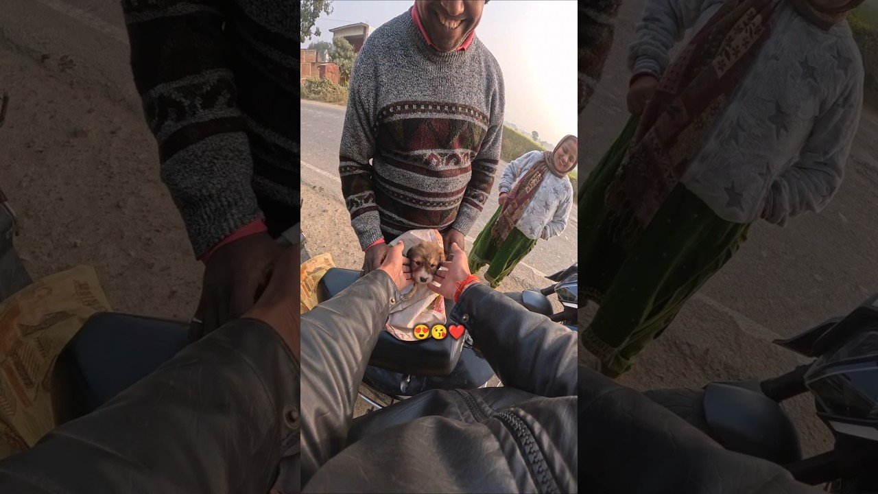 Real Dog Lover Family 🙏🐾 