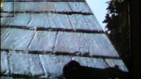 cod5-Asylum Glitch-Never Ending Fall (out of map as well) tutorial