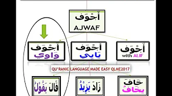 Ajwaf wawi Arabic Hollow verbs Lesson19 Unit2 Live Class Qala Yaqulu Quranic Lang Made Easy #qlme