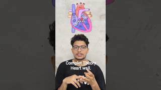 Structure And Function Of The Heart