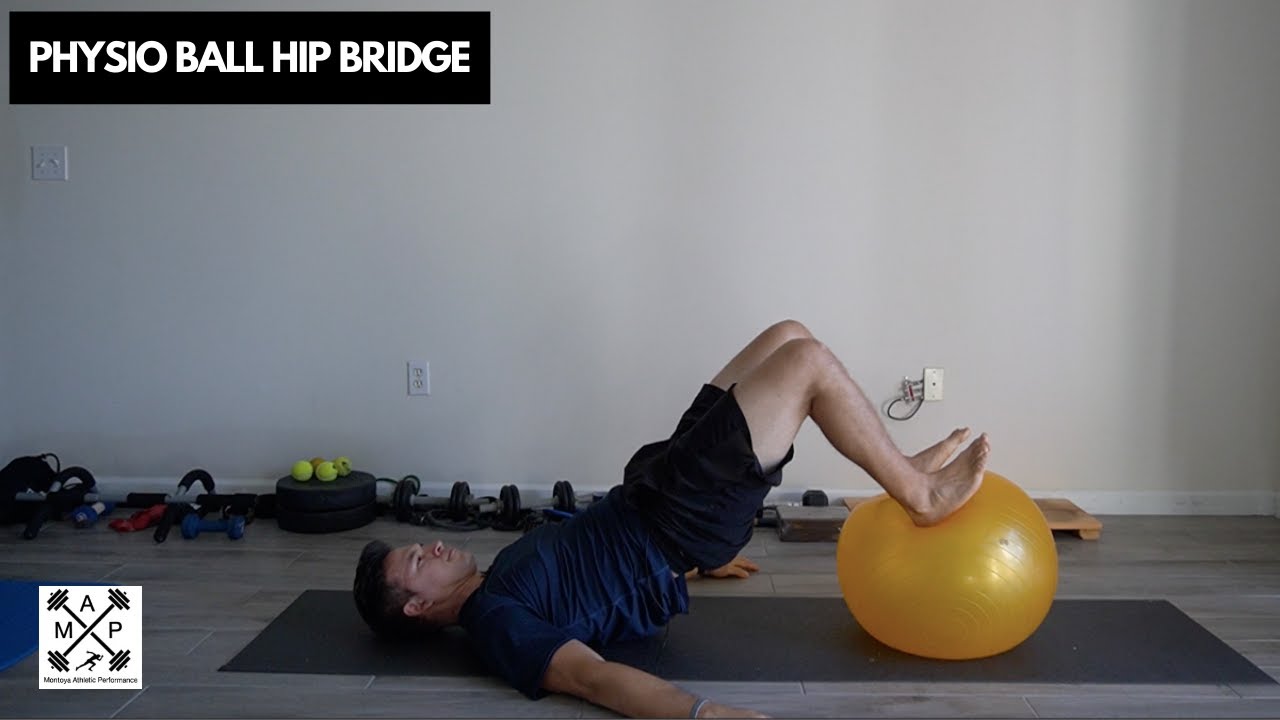 Physio Ball Hip Bridge YouTube