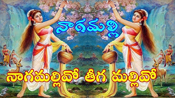 Nagamallivo Teegamallivo -  నాగమల్లివో తీగ మల్లివో - Nagamalli - నాగమల్లి -  Rajan-Nagendra