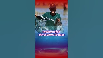 Hàng nghìn người dân đổ xô bắt 
