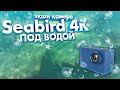 ПОСМОТРИ как снимает ЭКШН КАМЕРА Seabird 4K под ВОДОЙ. Съемка в море