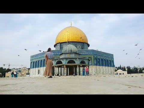 Video: Dovolená V Jeruzalémě
