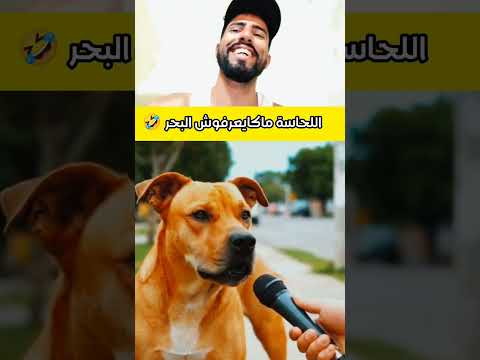 اللحاسة ماكايعرفوش البحر هتضحك ضحك تحشيش Funny اكسبلور دويتو تحشي كوميدي