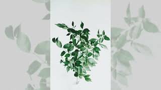 了解宠物疗愈力量；尝试情绪释放舞蹈；学习植物知识，养护心灵：心理小课堂20240122